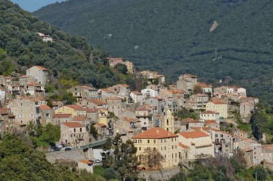 Appartement 1 pièces 41200 €