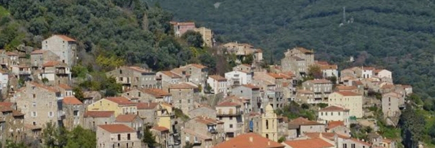 Appartement 1 Pièce 28 m² à vendre à Olmeto (20113)