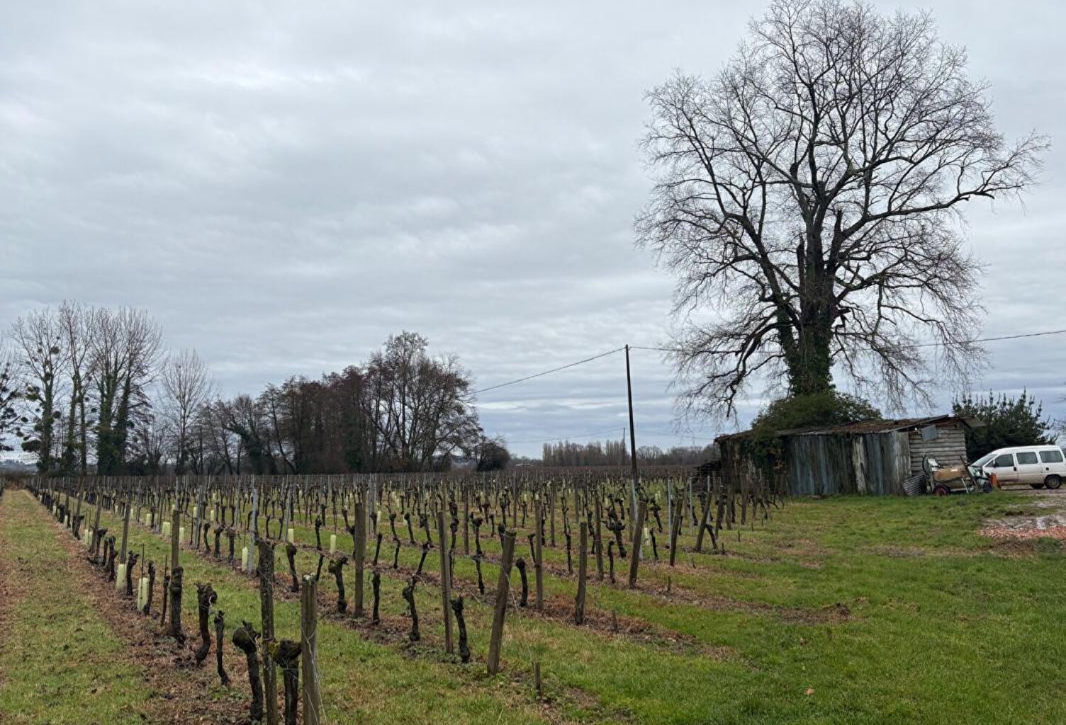 RARE : Devenez propriétaire de votre "Micro-Château" en AOC Saint-Émilion — photo 1