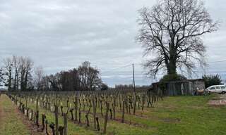 Maison 3 Pièces 277 m² à vendre à Saint-Pey-d'Armens (33330)