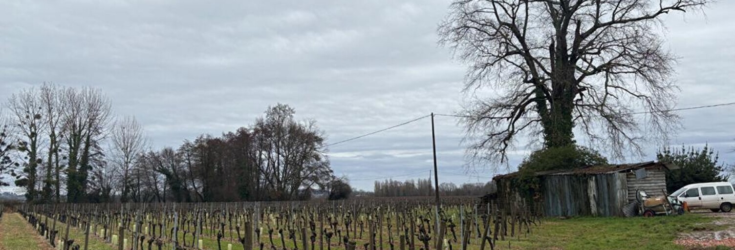 Maison 3 Pièces 277 m² à vendre à Saint-Pey-d'Armens (33330)