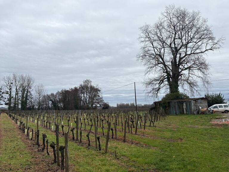 RARE : Devenez propriétaire de votre "Micro-Château" en AOC Saint-Émilion — photo 1