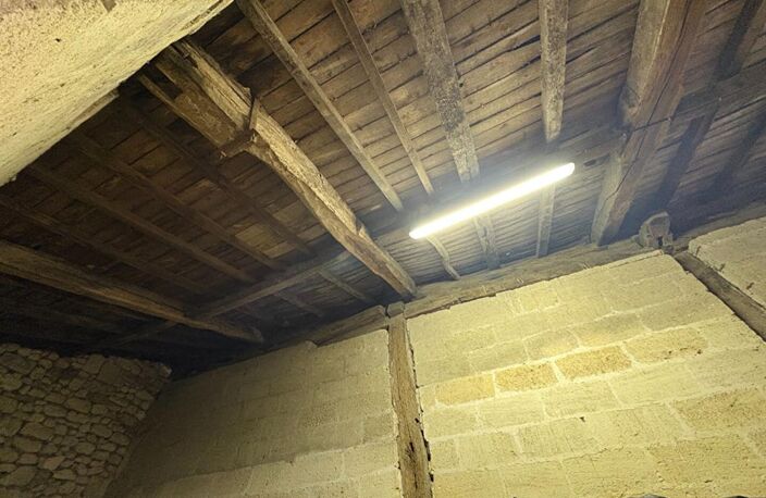 RARE : Devenez propriétaire de votre "Micro-Château" en AOC Saint-Émilion — photo 2