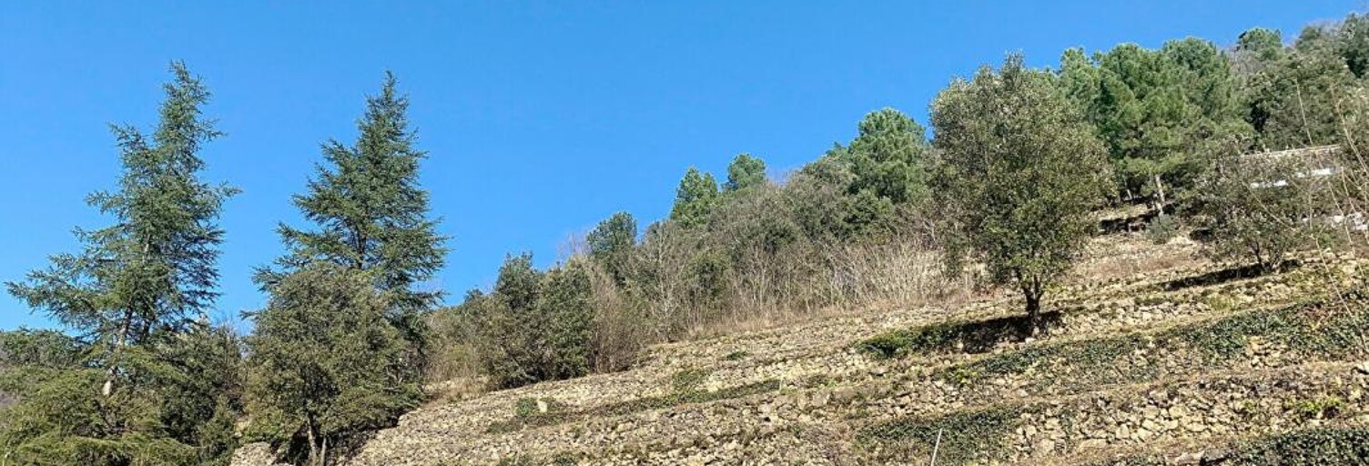 Terrain  2406 m² à vendre à Le Vigan (30120)