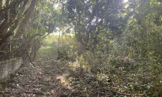 Terrain  1669 m² à vendre à Le Tampon (97430)