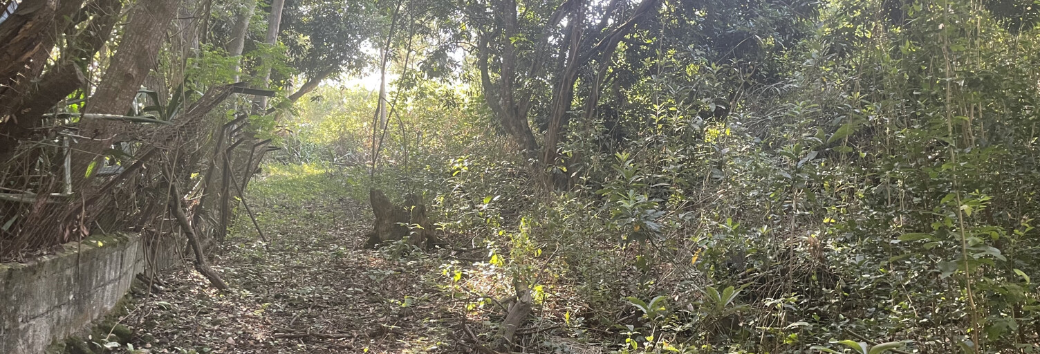 Terrain  1669 m² à vendre à Le Tampon (97430)