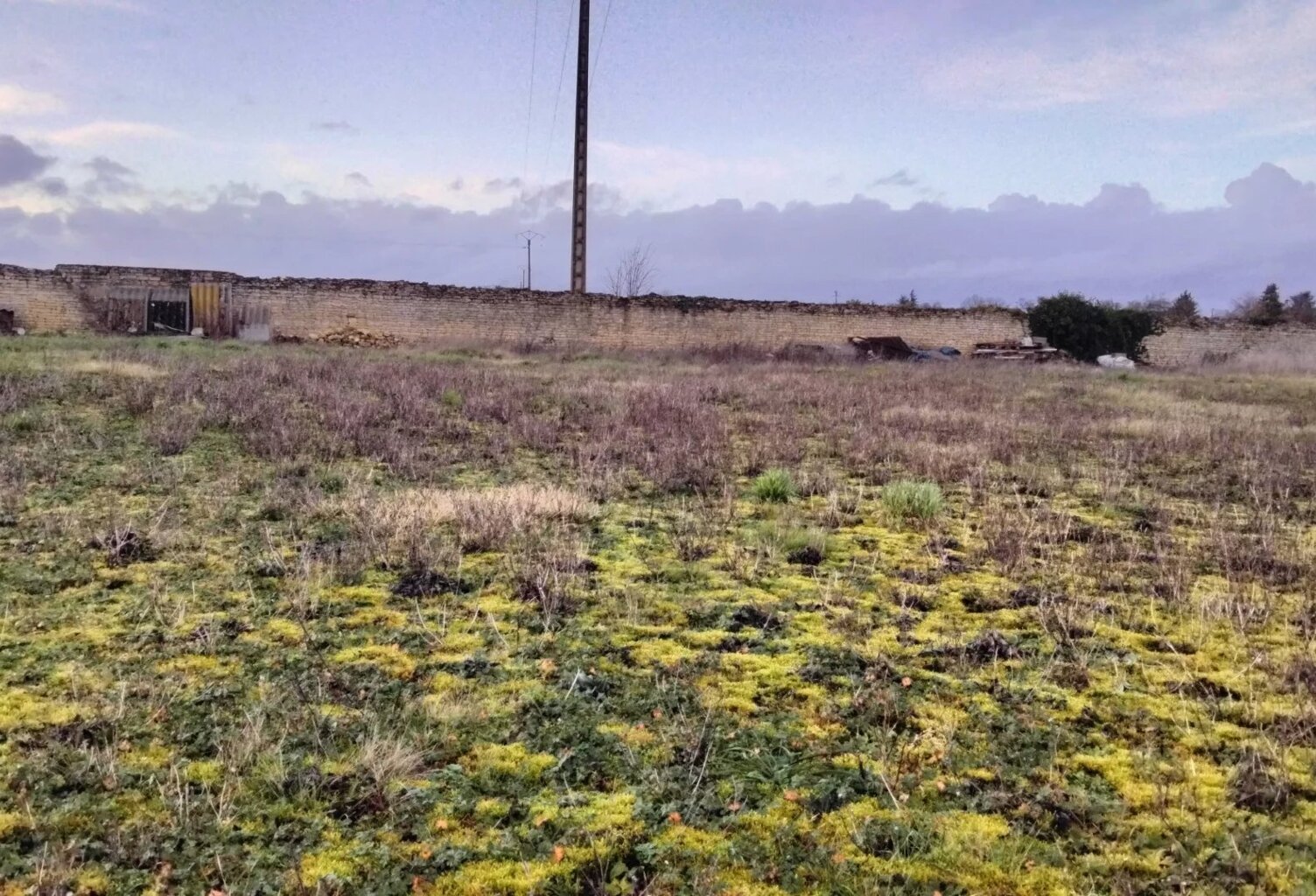 Terrain constructible Neuville 940m2 — photo 1
