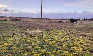 Terrain  940 m² à vendre à Neuville-de-Poitou (86170)