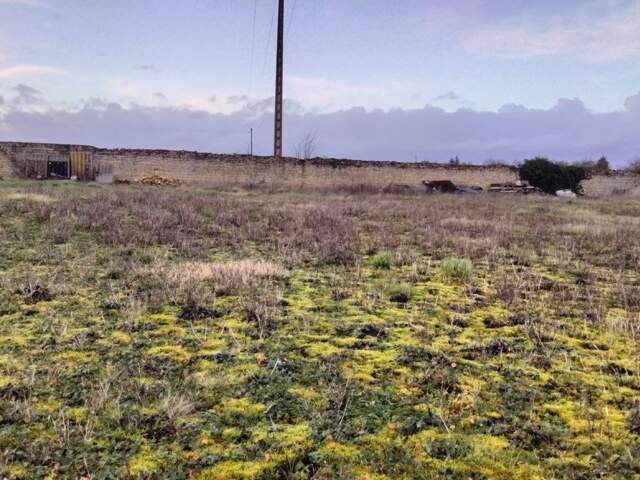 Terrain constructible Neuville 940m2 — photo du bien