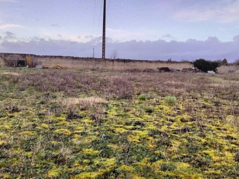 Terrain constructible Neuville 940m2 — photo 1