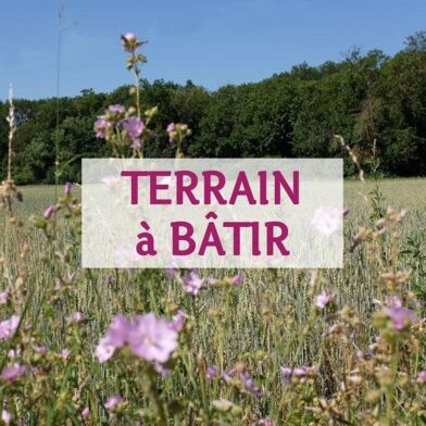 Terrain  154000 €