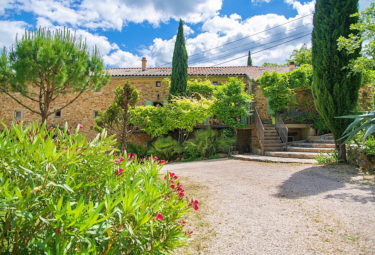 Domaine des mûres sauvages — photo 1