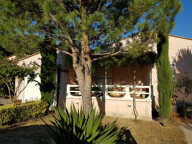 Maison  avec jardin paysagé, terrasses et piscine — photo 3