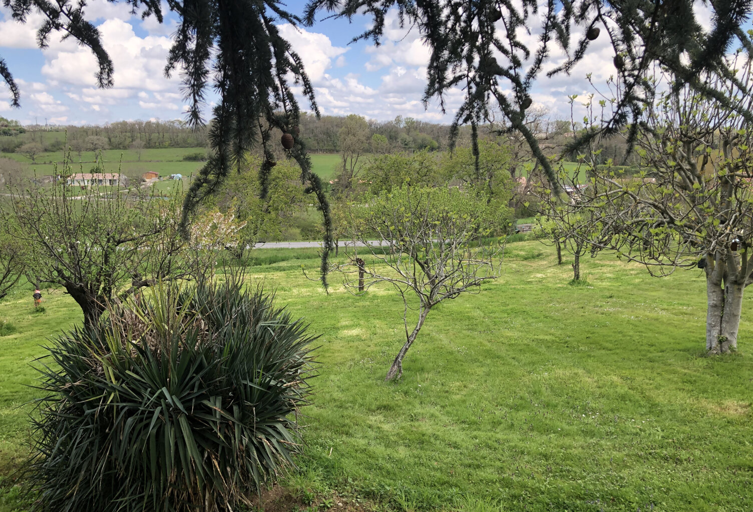 Terrain à bâtir Rieumes — photo 1