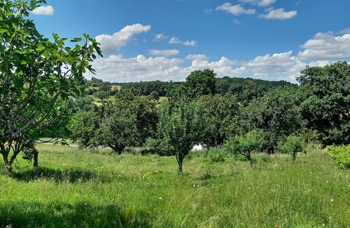 Terrain à bâtir Rieumes — photo 2