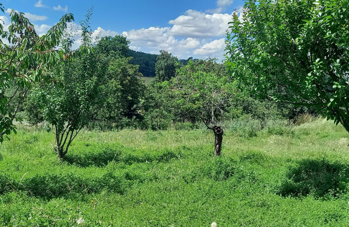 Terrain à bâtir Rieumes — photo 3