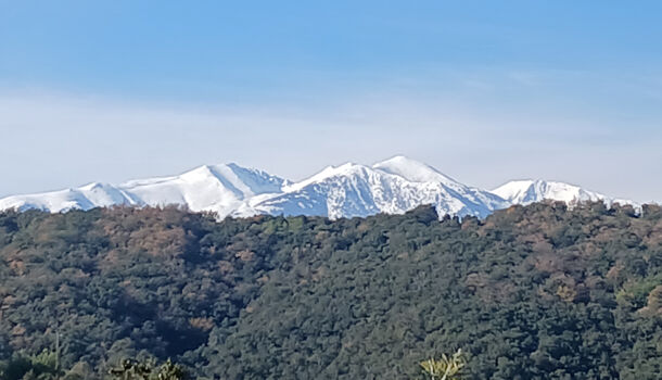 Villa / Maison 3 pièces  à vendre Reynès 66400