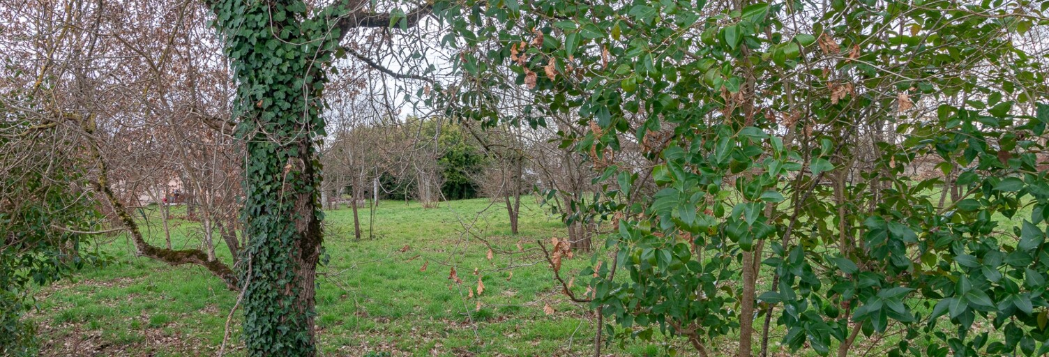 Terrain  1285 m² à vendre à Montauban (82000)