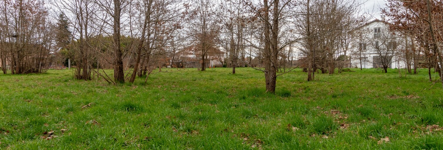 Terrain  2006 m² à vendre à Montauban (82000)