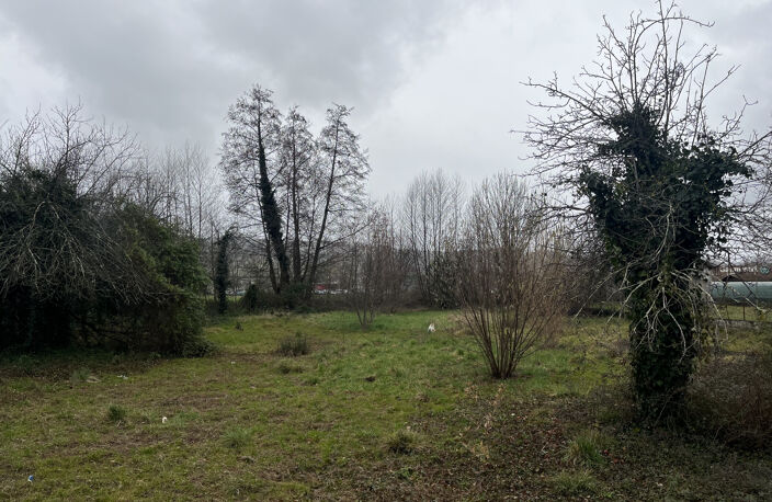 Terrain — photo 2