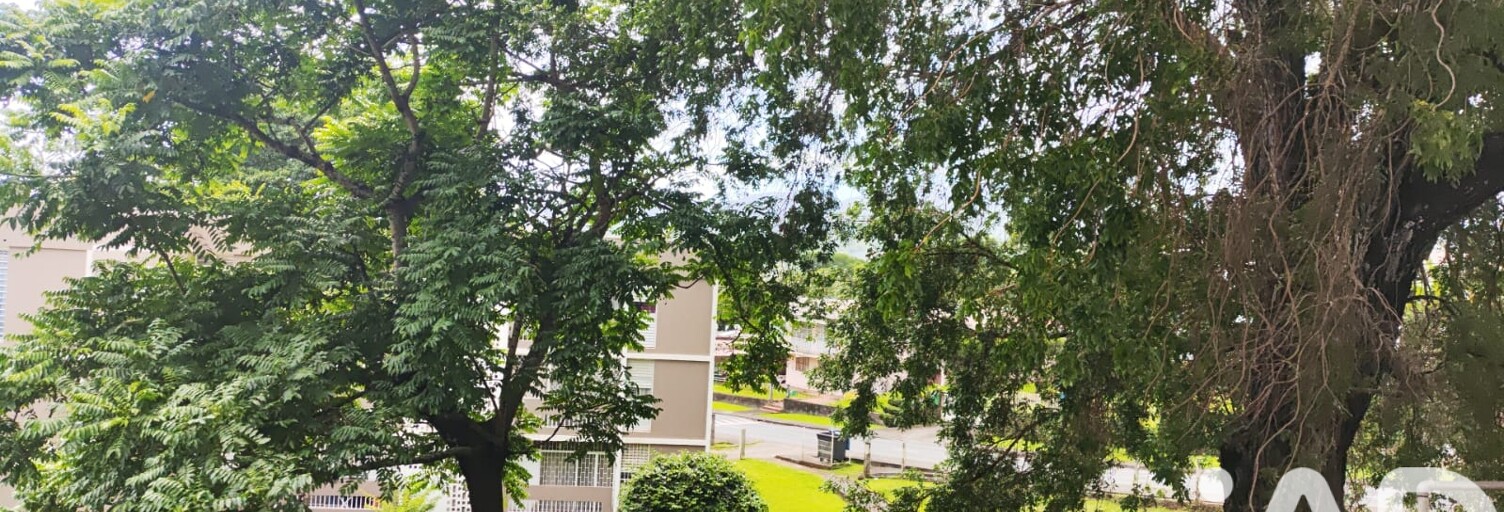 Appartement 4 Pièces 76 m² à vendre à Fort-de-France (97200)