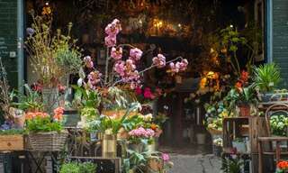 Commerce  113 m² à vendre à Paris 17 (75017)