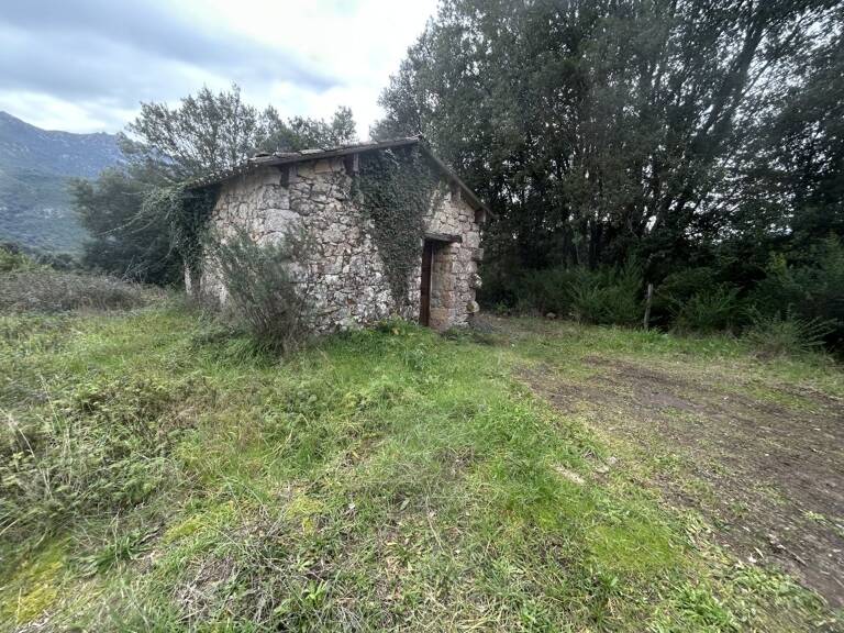 Terrain — photo 1