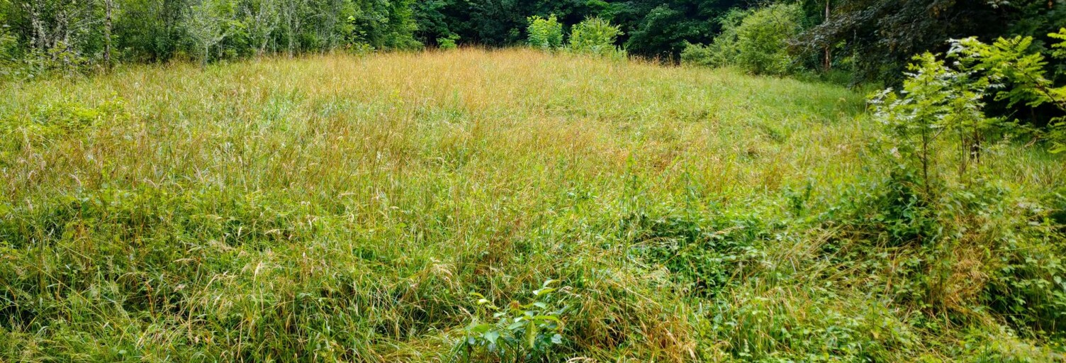 Terrain  1852 m² à vendre à Salins-les-Bains (39110)