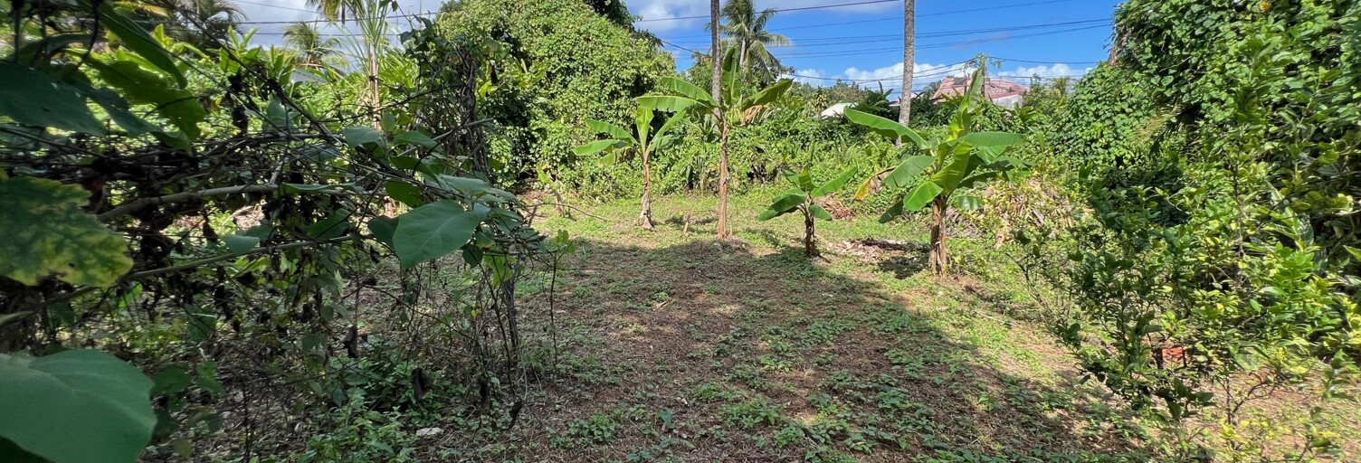 Terrain  854 m² à vendre à Capesterre-Belle-Eau (97130)