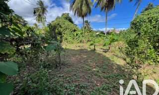 Terrain  854 m² à vendre à Capesterre-Belle-Eau (97130)