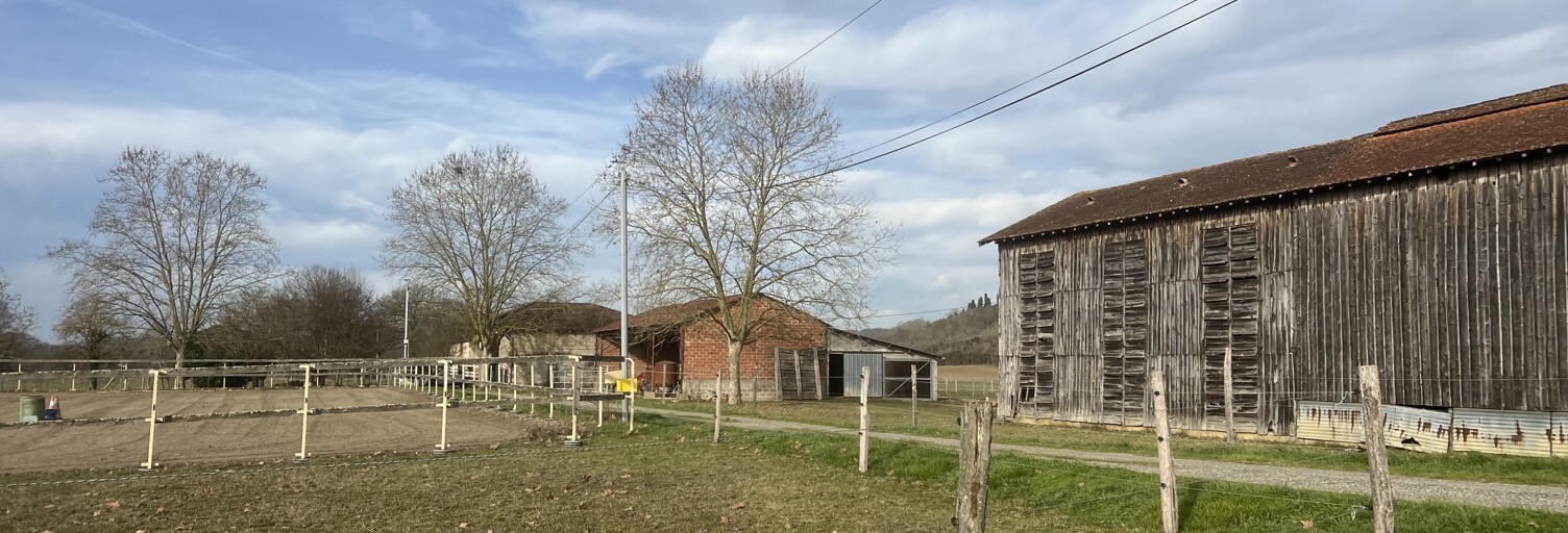 Maison 5 Pièces 150 m² à vendre à Lamagistère (82360)