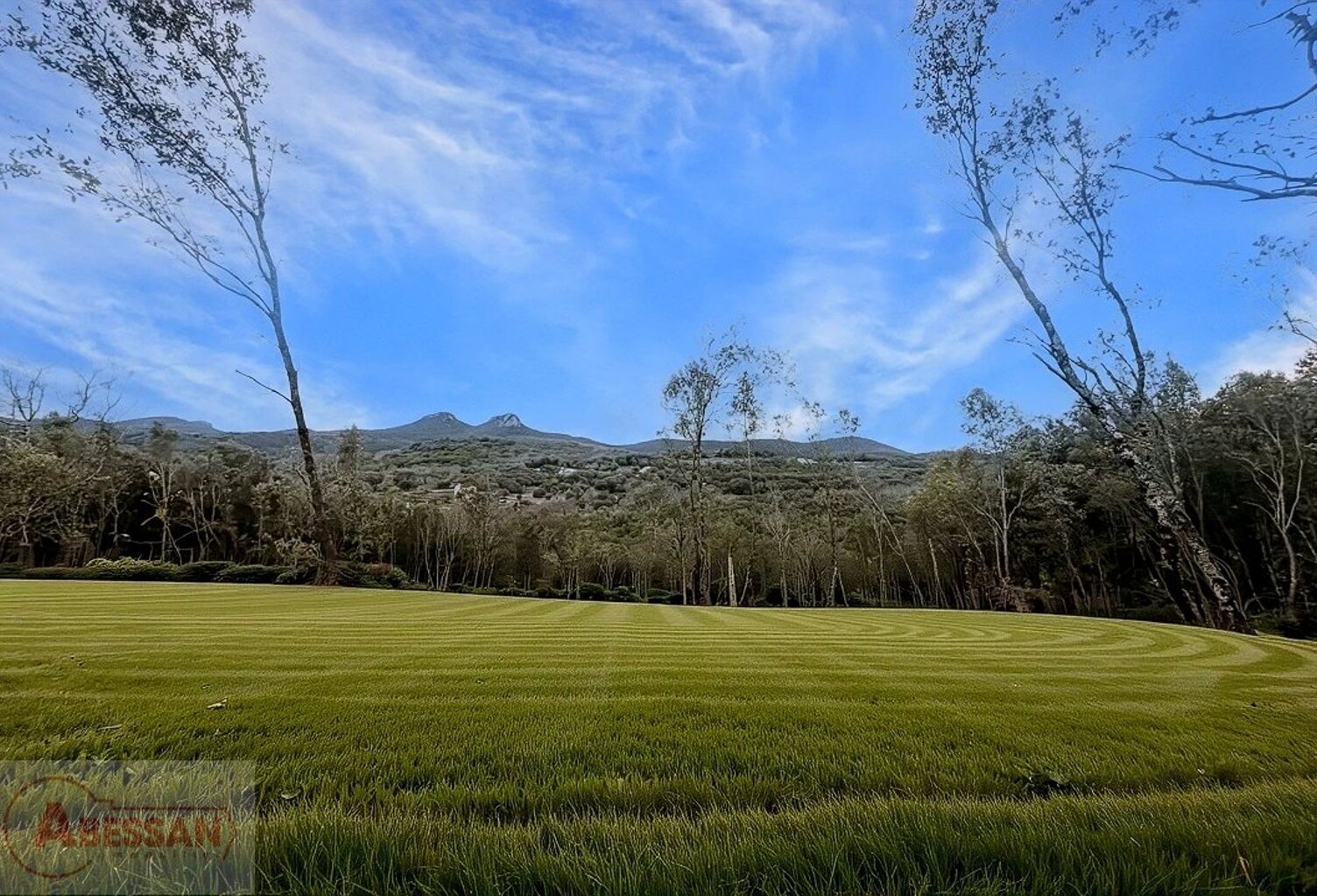 Terrain boisé  forêt — photo 1
