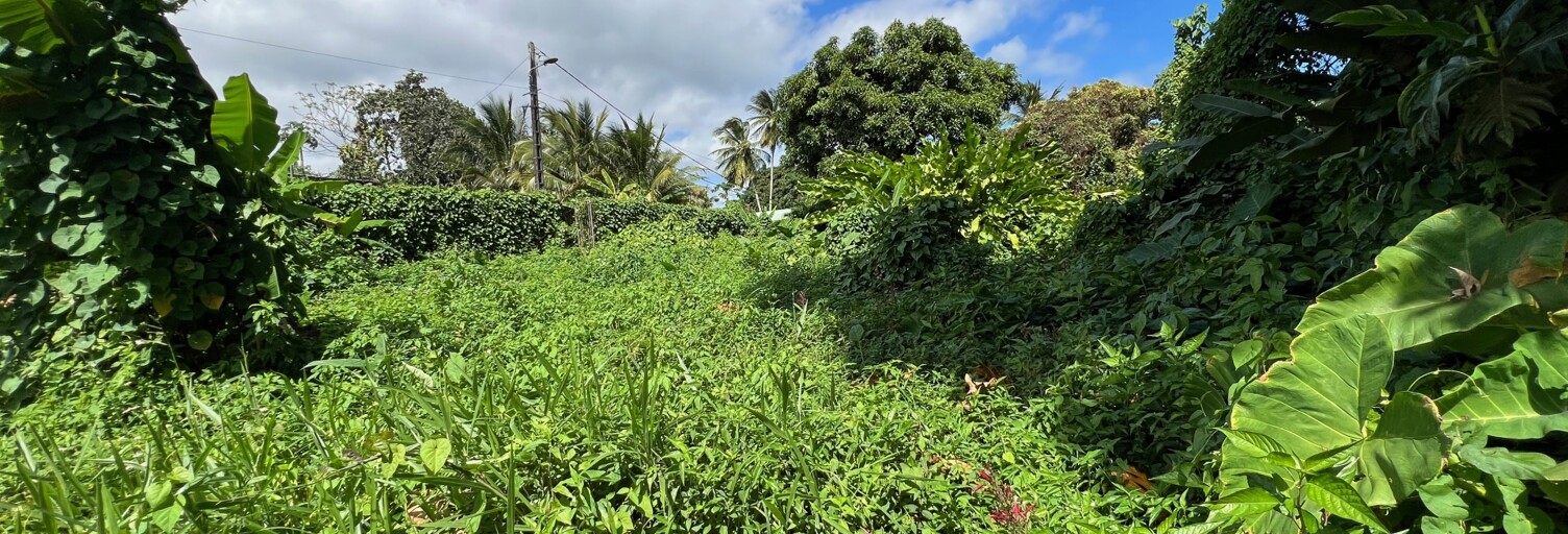 Terrain  1015 m² à vendre à Capesterre-Belle-Eau (97130)