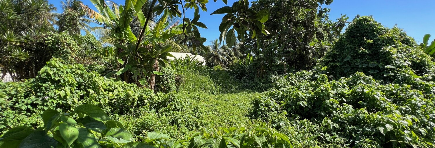 Terrain  1240 m² à vendre à Capesterre-Belle-Eau (97130)