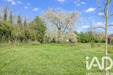 Terrain  169000 €