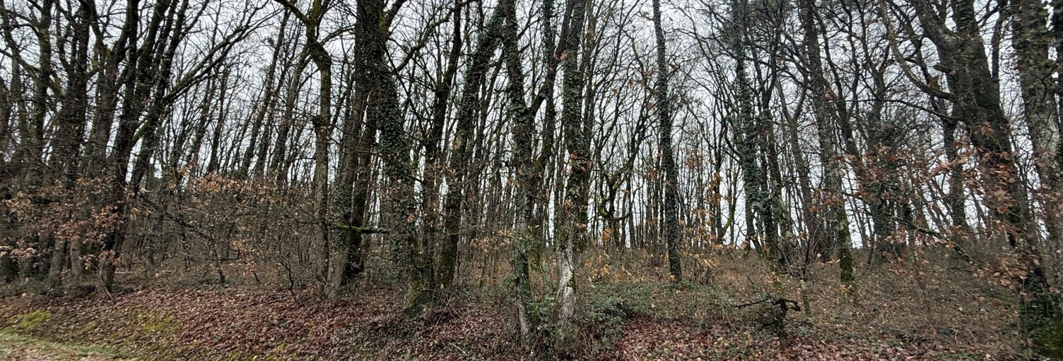 Terrain  3457 m² à vendre à Villemur-sur-Tarn (31340)