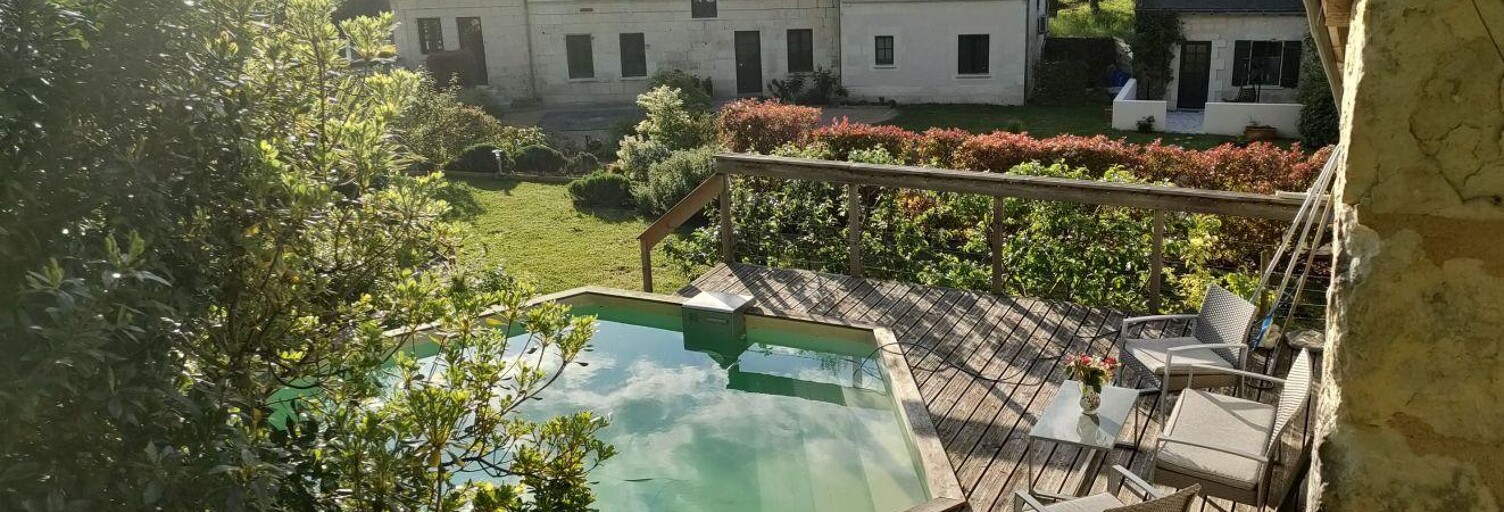 Commerce  273 m² à vendre à Rigny-Ussé (37420)