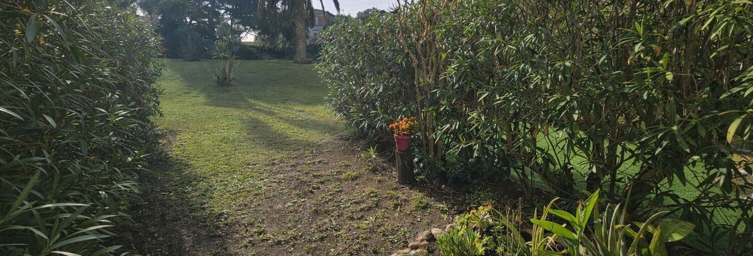 Appartement 2 Pièces 51 m² à vendre à Vallauris (06220)