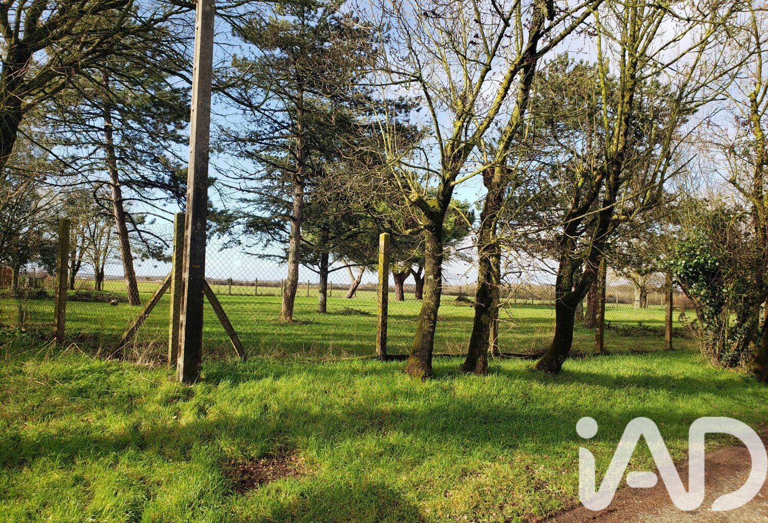 Vente Terrain à bâtir 3 685 m&sup2; — photo 1