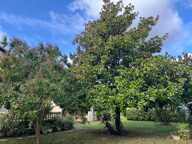 Maison à vendre 5 pièces aux portes de CHALAIS (16) avec grand jardin arboré clos et verger — photo 4