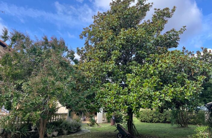Maison à vendre 5 pièces aux portes de CHALAIS (16) avec grand jardin arboré clos et verger — photo 4