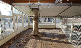 Commerce   m² à louer à Ruoms (07120)