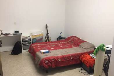 Appartement 2 pièces 490 €