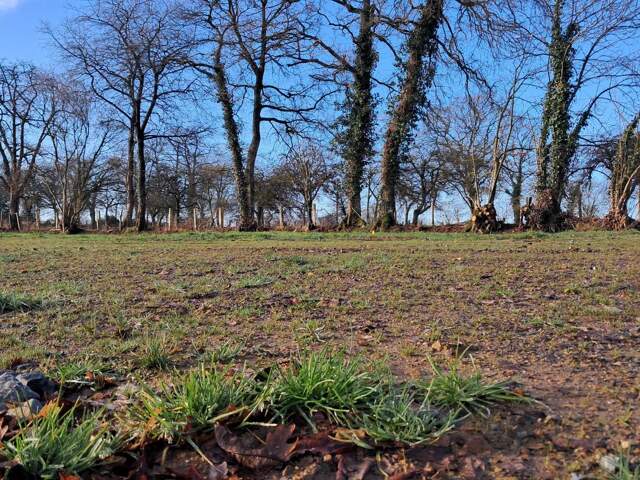 Terrain constructible & viabilisé - 438m² — photo du bien