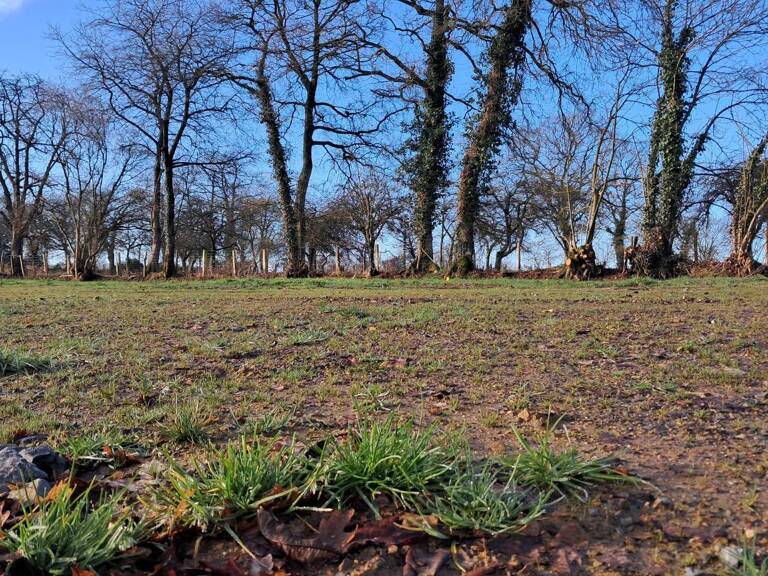 Terrain constructible & viabilisé - 438m² — photo 1