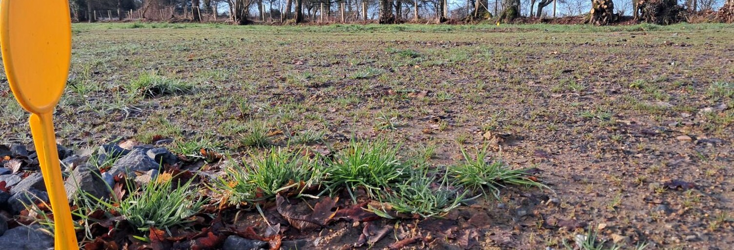 Terrain  317 m² à vendre à Ercé-en-Lamée (35620)