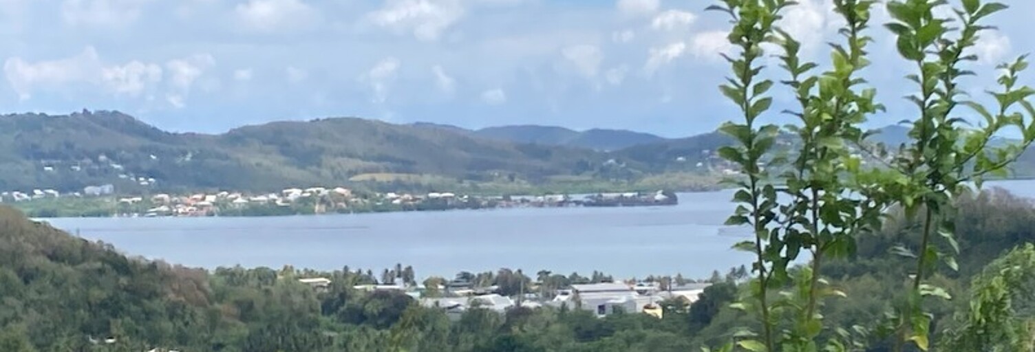 Maison 5 Pièces 113 m² à vendre à Le Robert (97231)