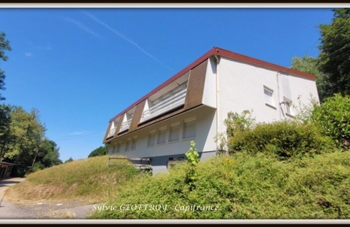 Colonie de vacances ou propriété équestre à vendre à PEXONNE (54) — photo 2