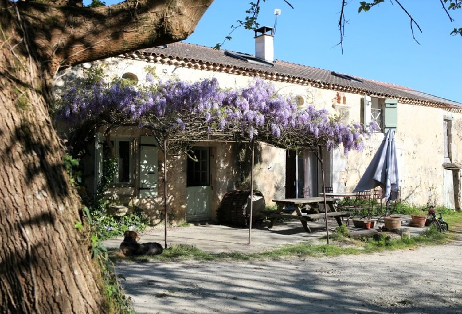 Belle longère en pierre - 4/5 chambres - DPE A - Nérac (Lot-et-Garonne) — photo 1