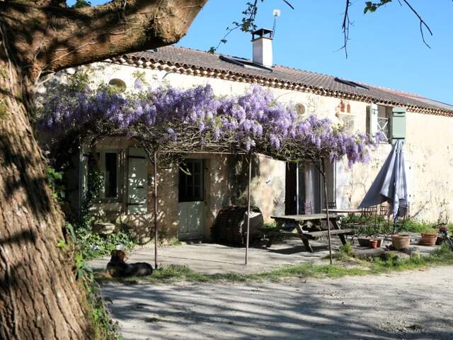 Belle longère en pierre - 4/5 chambres - DPE A - Nérac (Lot-et-Garonne) — photo du bien